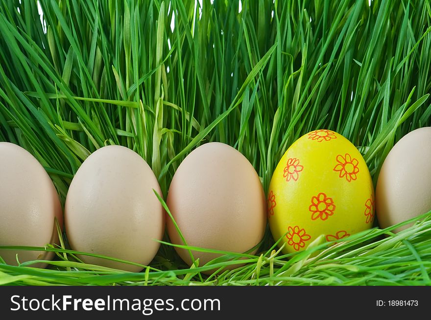 Yellow egg in green grass