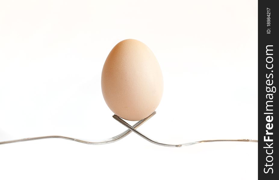 One easter egg on white background