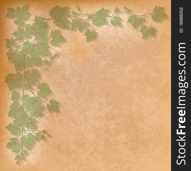 Grunge illustration with grape leaves on orange