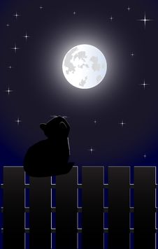 Cat On The Fence Royalty Free Stock Image Cat On The Fence Royalty Free Stock Image