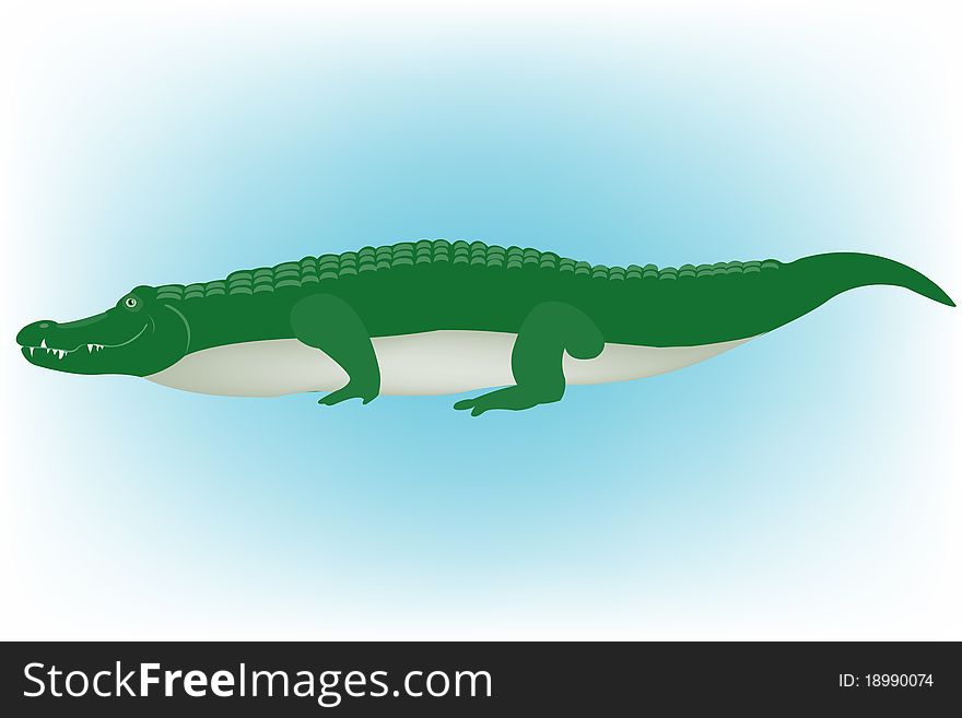 Big green crocodile on turn blue background. Big green crocodile on turn blue background