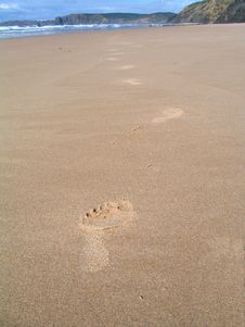 Footprints In The Sand Royalty Free Stock Image Footprints In The Sand Royalty Free Stock Image