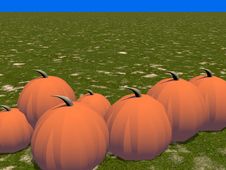 Pumpkins Stock Images Pumpkins Stock Images