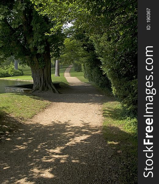 Countryside woodland Walk