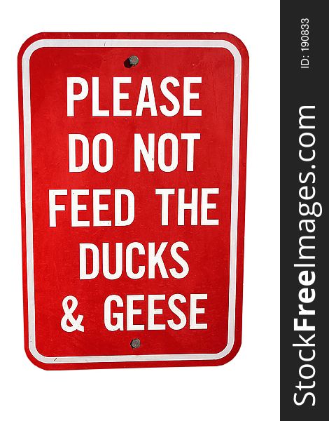 Please Don T Feed The Ducks!