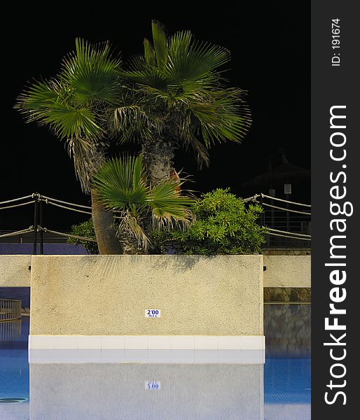 Swimming pool and palms by night. Swimming pool and palms by night