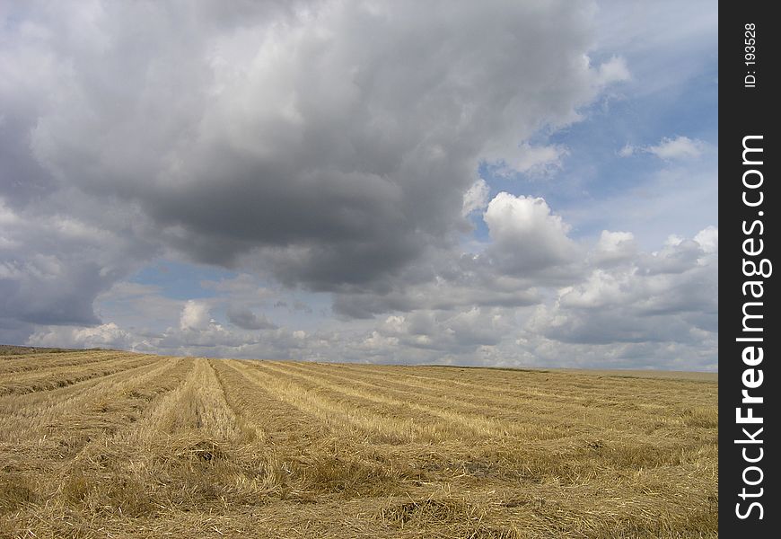 Summer clouds over the field - Poland