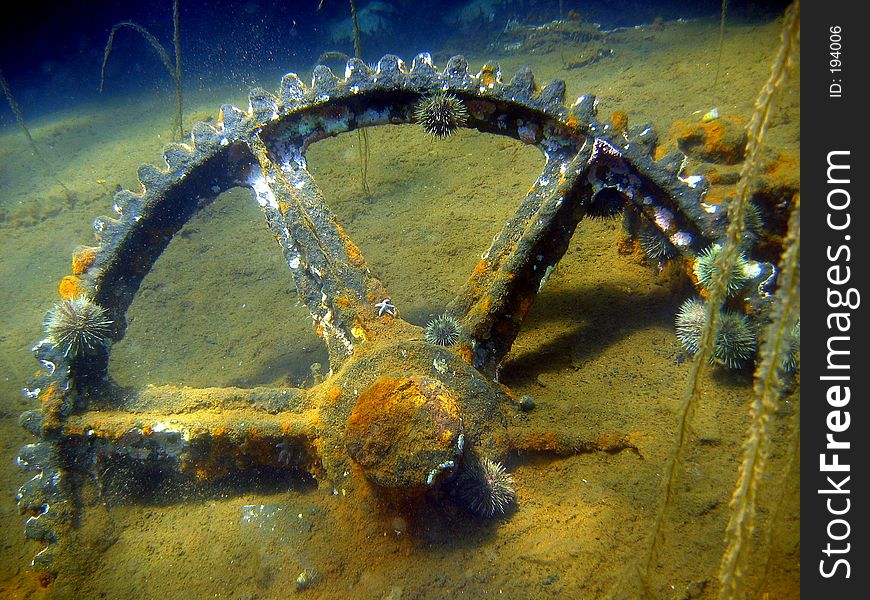 Wheel/cog off a shipwreck