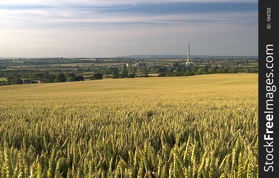 Wheat field with cement works chimney in distance. Wheat field with cement works chimney in distance