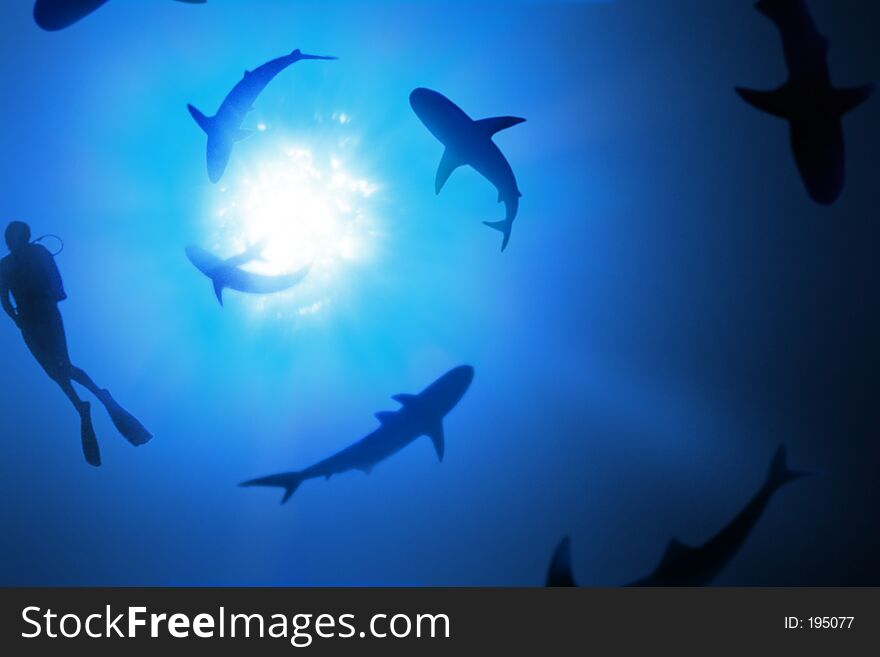 Sharks and a scuba diver swimming in a spiral. Sharks and a scuba diver swimming in a spiral