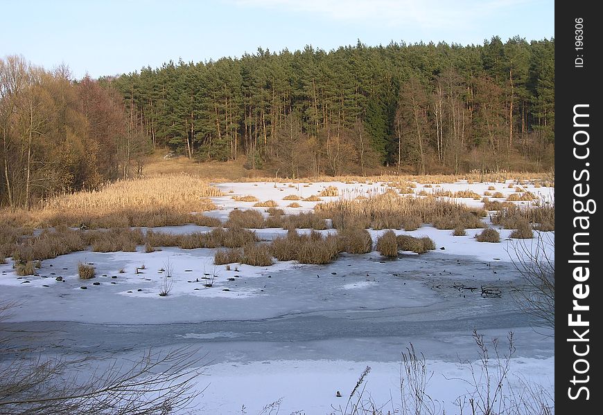 Frozen pond in forest. Frozen pond in forest