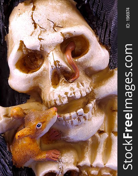 Photo of a Skull With a Mouse and Worm. Halloween Concept.