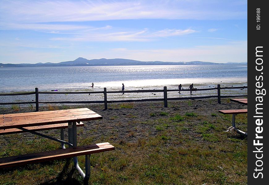 Table With a View