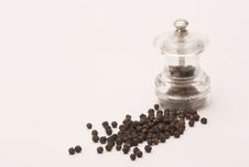 Black Peppercorns Royalty Free Stock Images