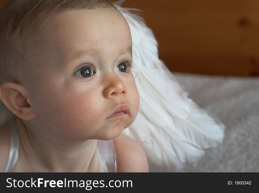 Image of baby wearing angel wings. Image of baby wearing angel wings