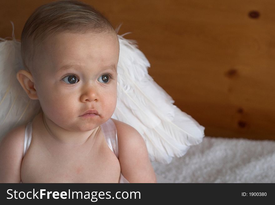 Image of baby wearing angel wings. Image of baby wearing angel wings