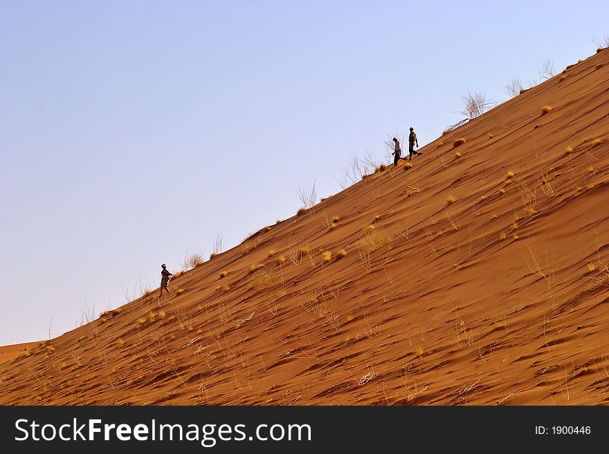 Big sand dune overlooking dead valley in Namibia. Big sand dune overlooking dead valley in Namibia