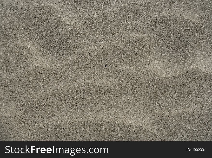 Texture of the sand dunes for cover. Texture of the sand dunes for cover