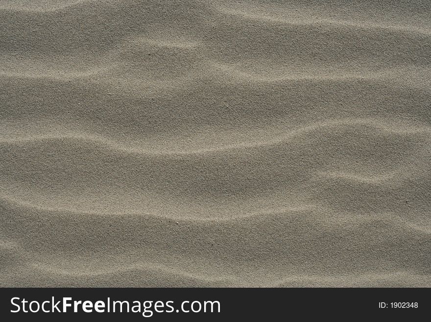 Texture of the sand dunes for cover. Texture of the sand dunes for cover
