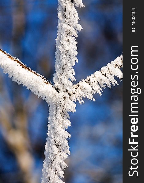 Hoarfrost on branches of a tree close up in winter. Hoarfrost on branches of a tree close up in winter