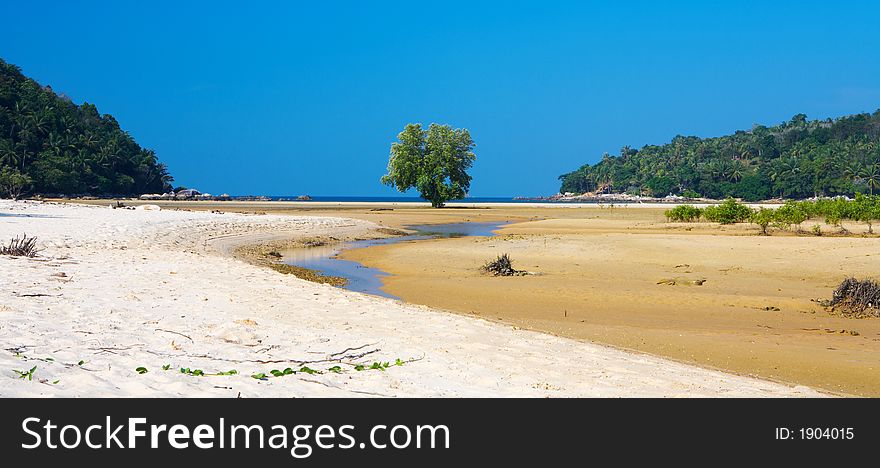 View of tropical sandy beach during low tide. View of tropical sandy beach during low tide