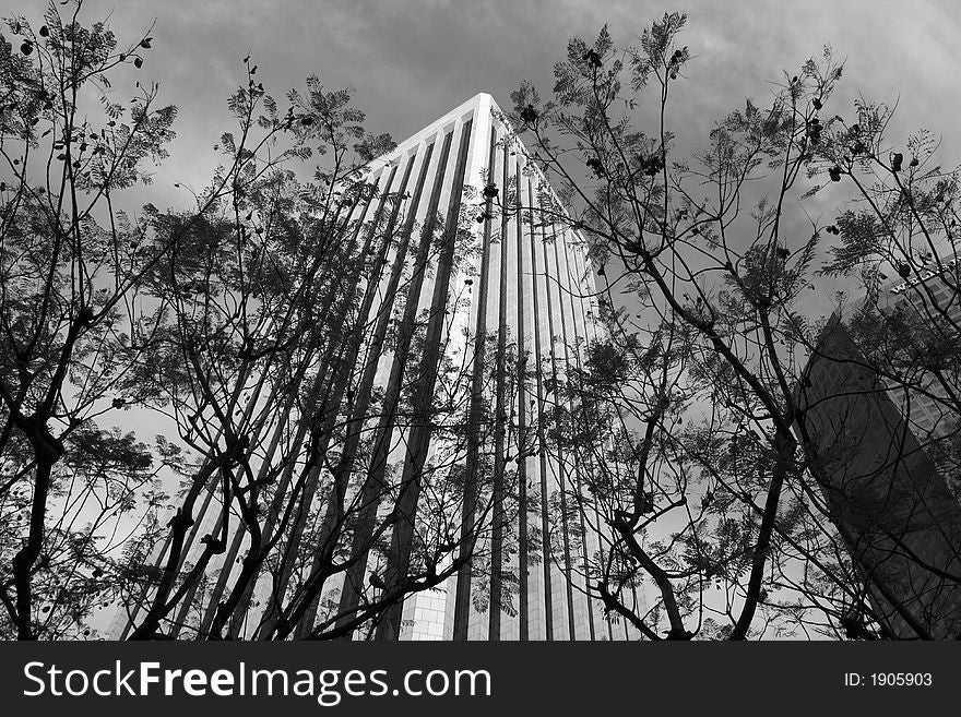 A building emerges from the trees. A building emerges from the trees