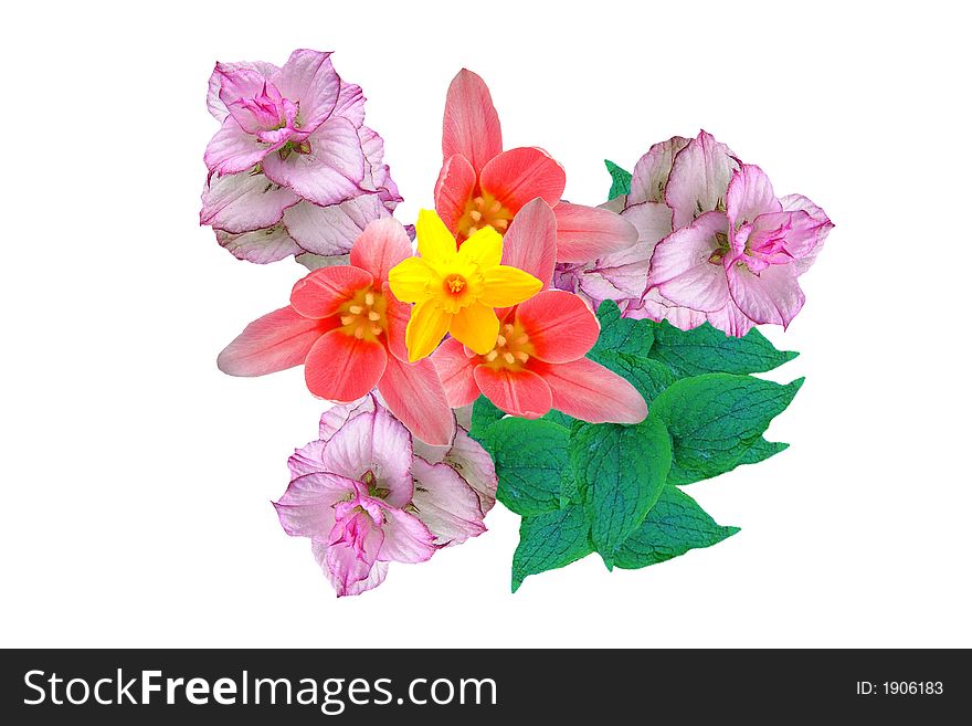 Fantasy bouquet with colorful flowers.
