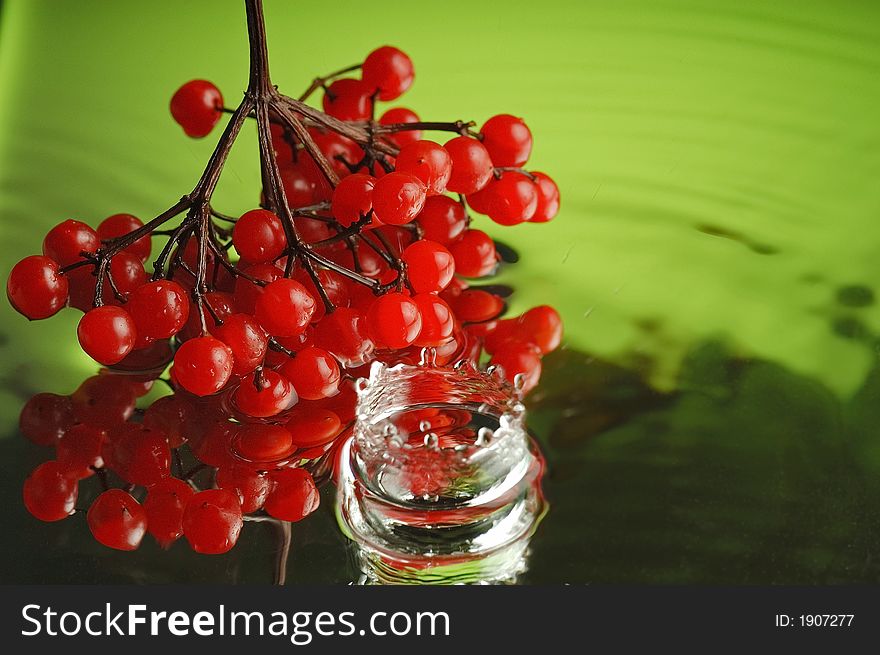 Guelder-rose, water and ice. Guelder-rose, water and ice