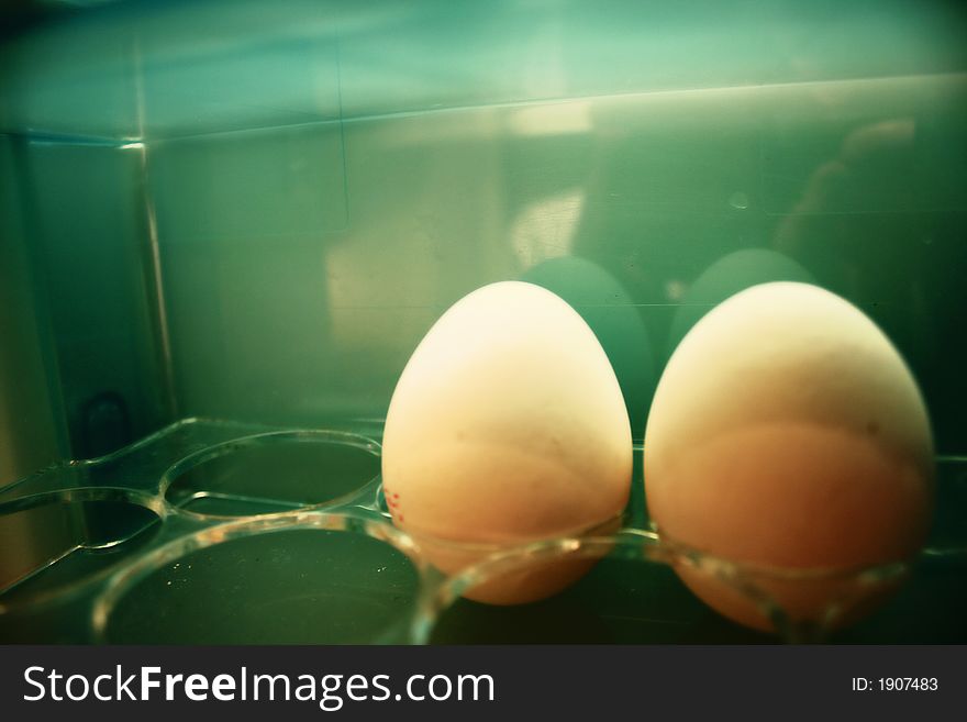 Detail shot of two eggs. Detail shot of two eggs.