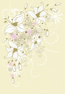 Elegant Background Of Lilies Stock Images Elegant Background Of Lilies Stock Images