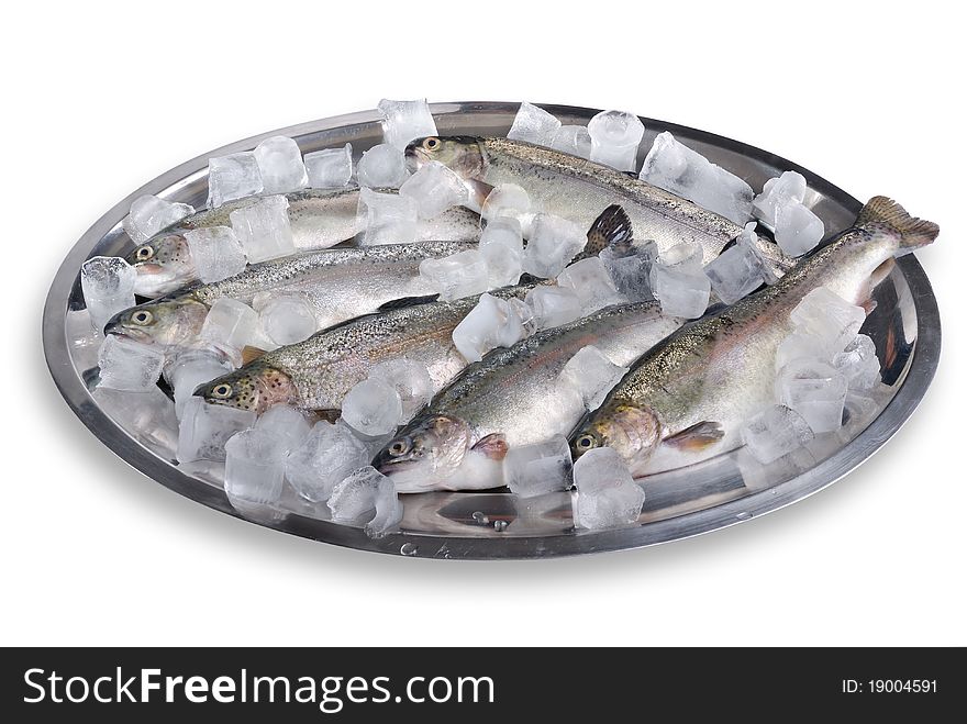 Raw trout on ice isolated of white