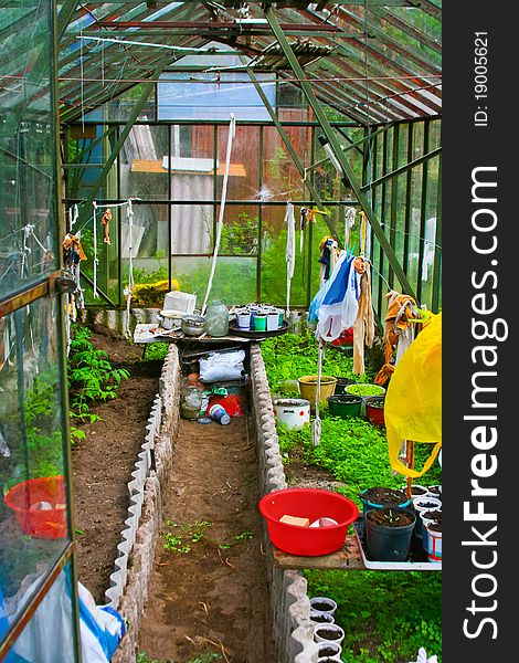 Inside of colorful greenhouse in the summer garden. Inside of colorful greenhouse in the summer garden.