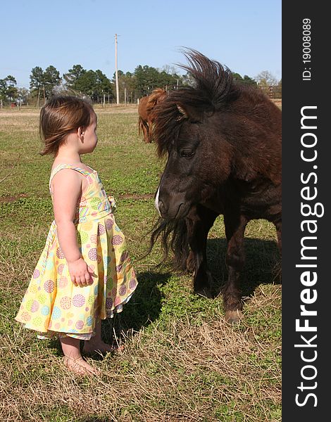 Child standing with a miniature horse. Child standing with a miniature horse
