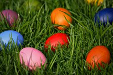 Colorful Easter Eggs Hidden In The Grass Stock Image Colorful Easter Eggs Hidden In The Grass Stock Image