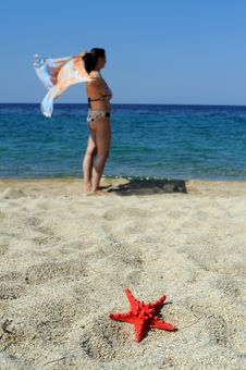 Free Attractive Female On Beach Stock Photography - 19011632