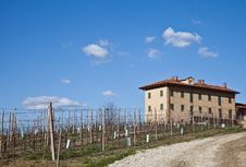 Italian Villa With Vineyard: Spring Season Stock Images Italian Villa With Vineyard: Spring Season Stock Images
