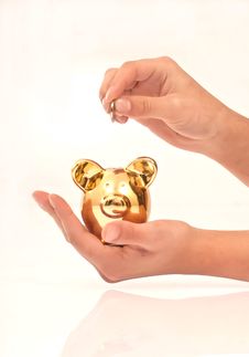 Hands Holding Piggy Bank Royalty Free Stock Image