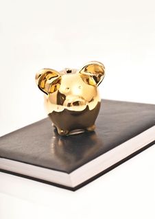 Agenda And Piggy Bank Stock Image
