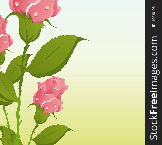 Natural background with pink roses. Natural background with pink roses