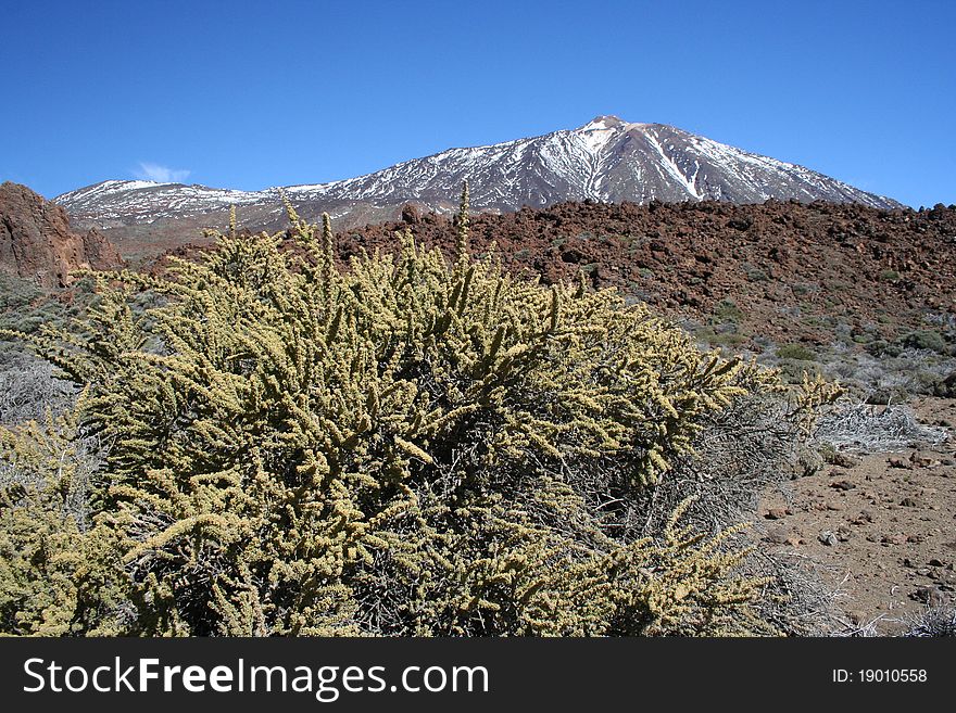 El Teide volcano, Tenerife, Spain