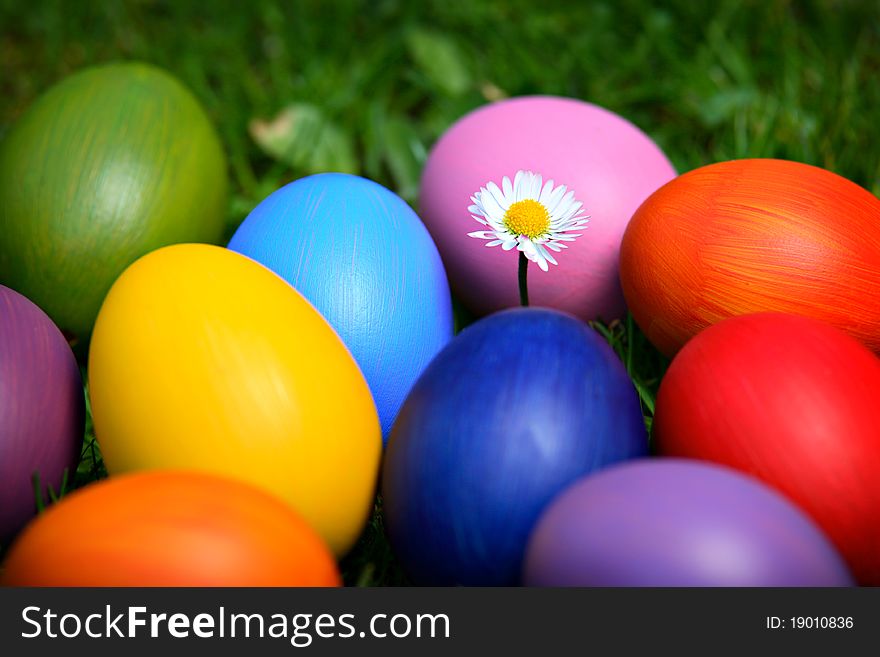 Colorful Easter eggs with daisy, hidden in the grass