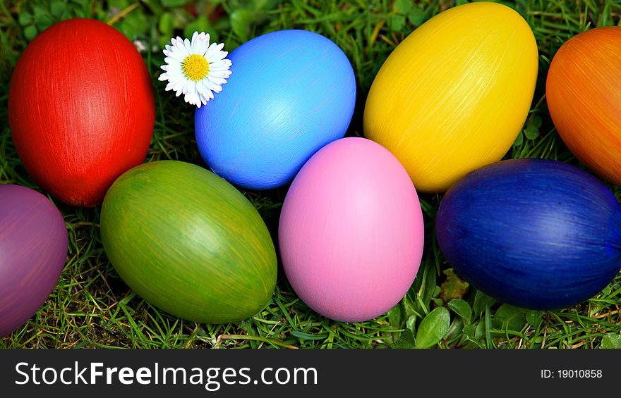 Colorful Easter eggs with daisy, hidden in the grass