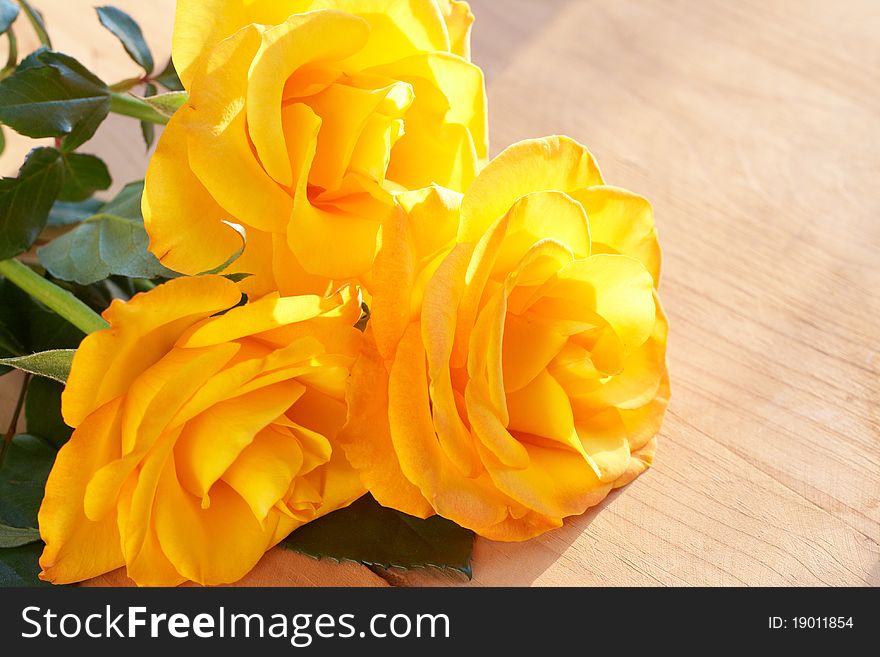 Bunch of yellow roses in sunlight on wooden background