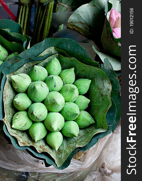 Bunch of Green Lotus Blossom Buds for Sale in Outdoor Street Market in Bangkok Thailand