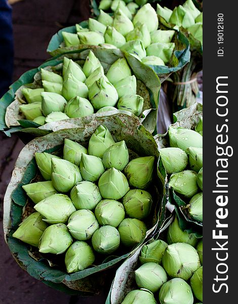 Bunches of Green Lotus Blossom Buds for sale in Outdoor Street Market in Bangkok Thailand Asia