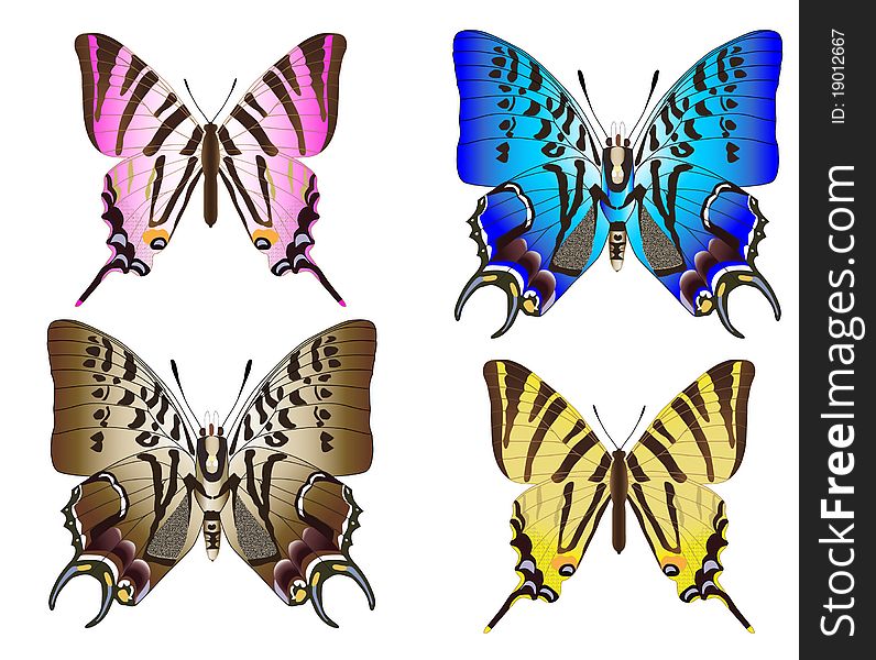 Red, blue, yellow, and brown butterflies. Vector illustration. Red, blue, yellow, and brown butterflies. Vector illustration