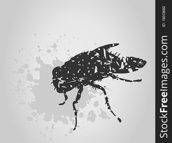 Black fly on a grey background. A illustration