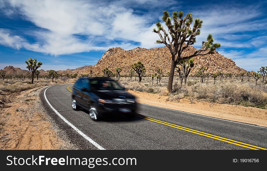 Driving In Joshua Tree