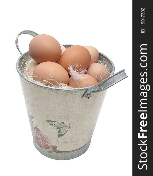 Eggs collected in a bucket on the white. Eggs collected in a bucket on the white