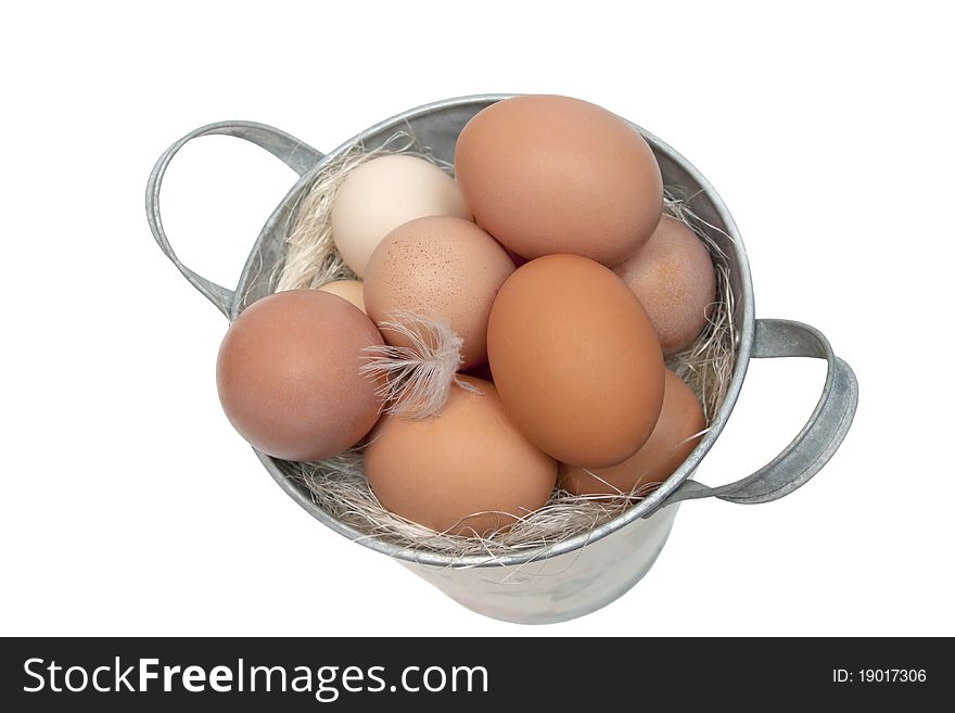 Eggs collected in a bucket on the white. Eggs collected in a bucket on the white